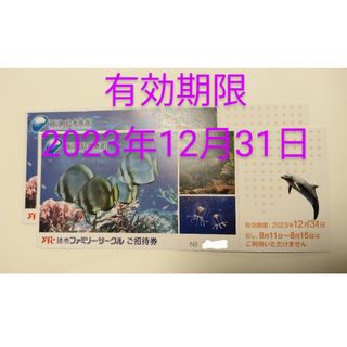 新江ノ島水族館 招待券 2枚セット(水族館)