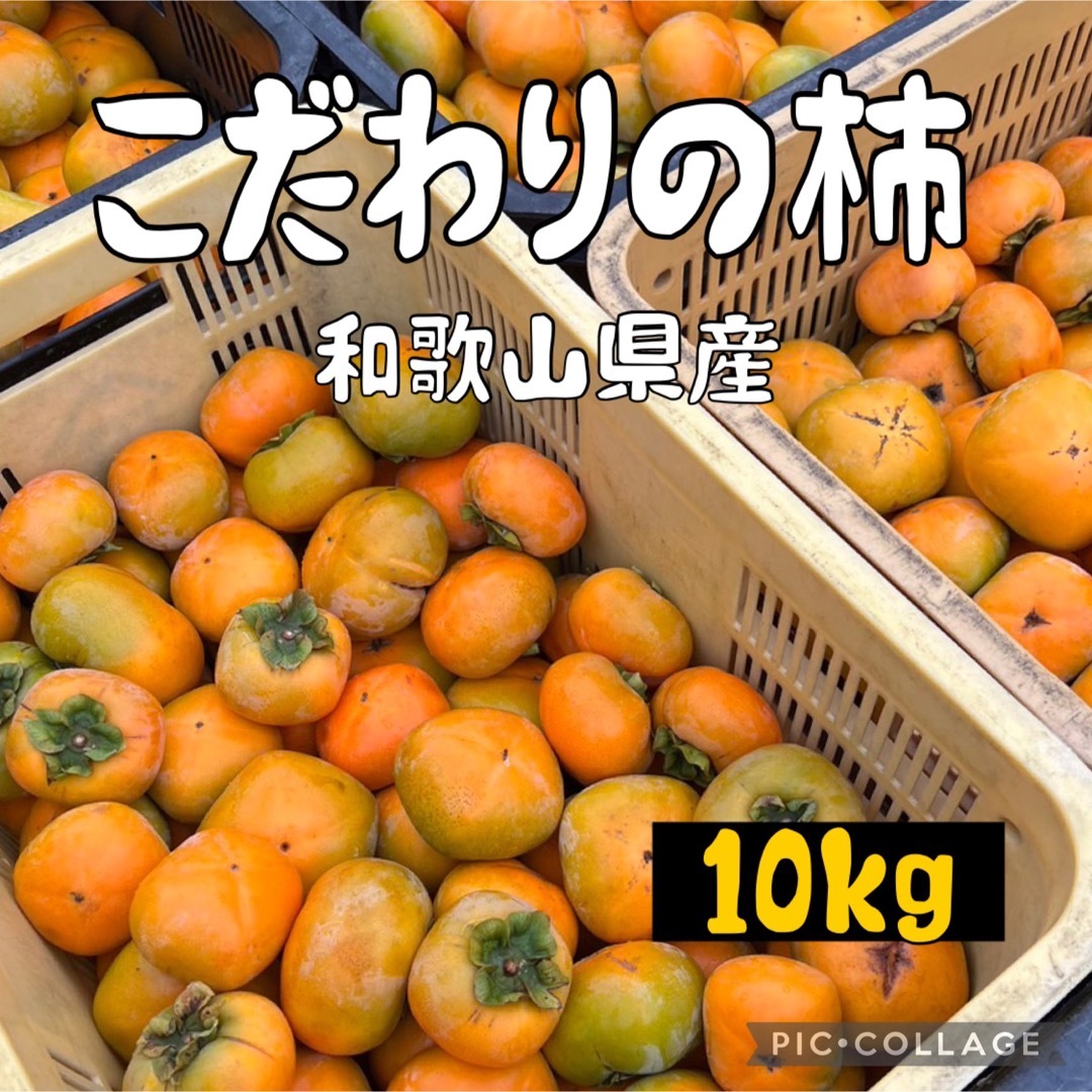 柿 中谷早生 10キロ 以上 ハネダシ品の通販 by FRUIT SHOP 旬美｜ラクマ