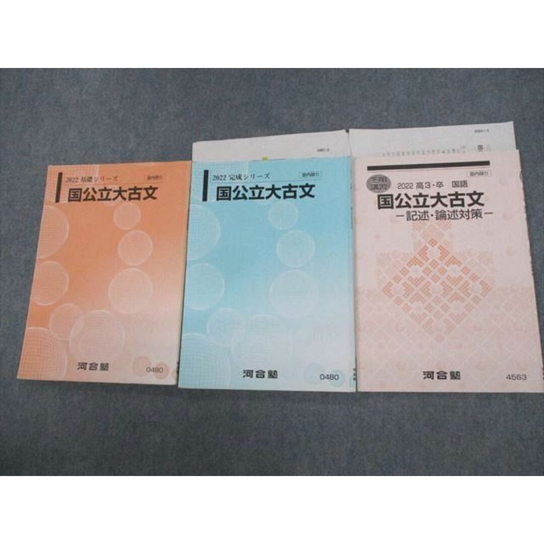 VB10-014 河合塾 国公立大古文/記述・論述対策 テキスト通年セット 2022 計3冊 17S0D