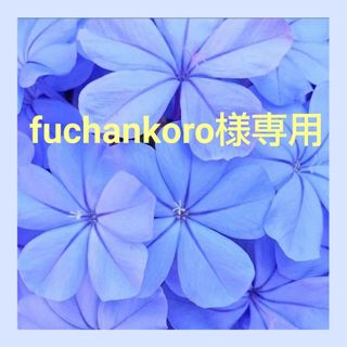 fuchankoro様専用(その他)