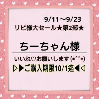 127♥ちーちゃん様 ⭕1400円⭕💙200円割引➡23日正午迄💙(型紙/パターン)