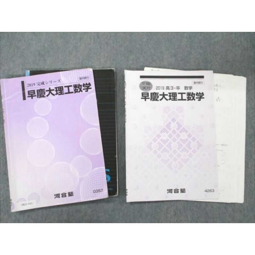 VB21-011 河合塾 早慶大理工数学 2019 完成シリーズ/冬期講習 計2冊 遠藤 08s0D