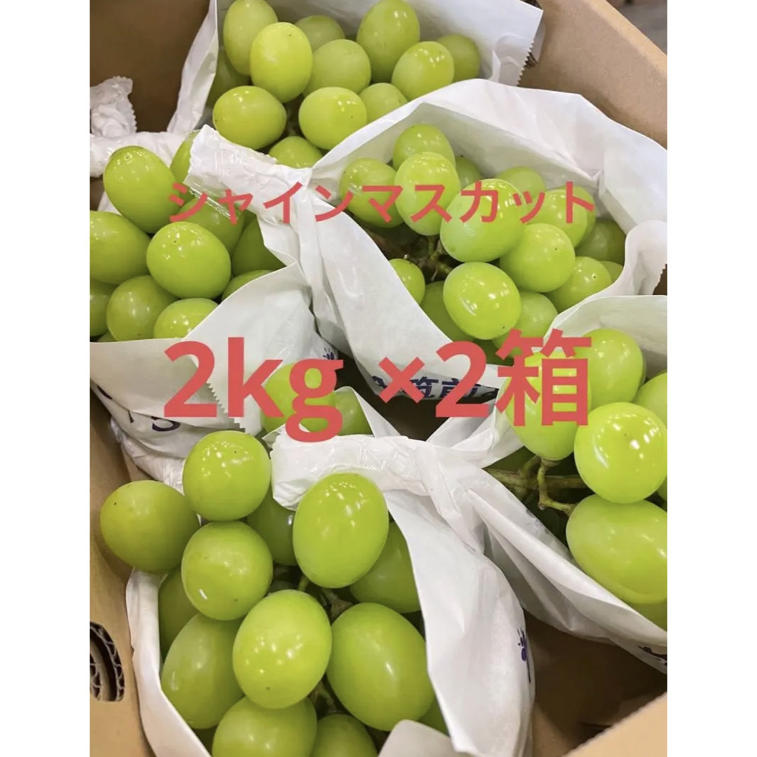 2箱 セール 低価格高品質 ぶどう シャインマスカット2kg ×2箱 葡萄 得の通販 by エツ's shop｜ラクマ