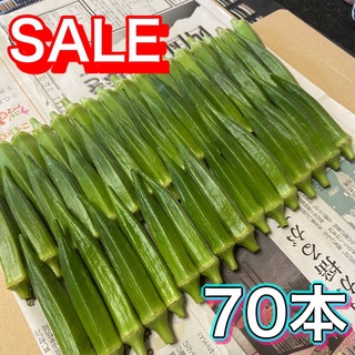 高知県産オクラ　新鮮おくら　即購入OK 産地直送　野菜70dmaj(野菜)