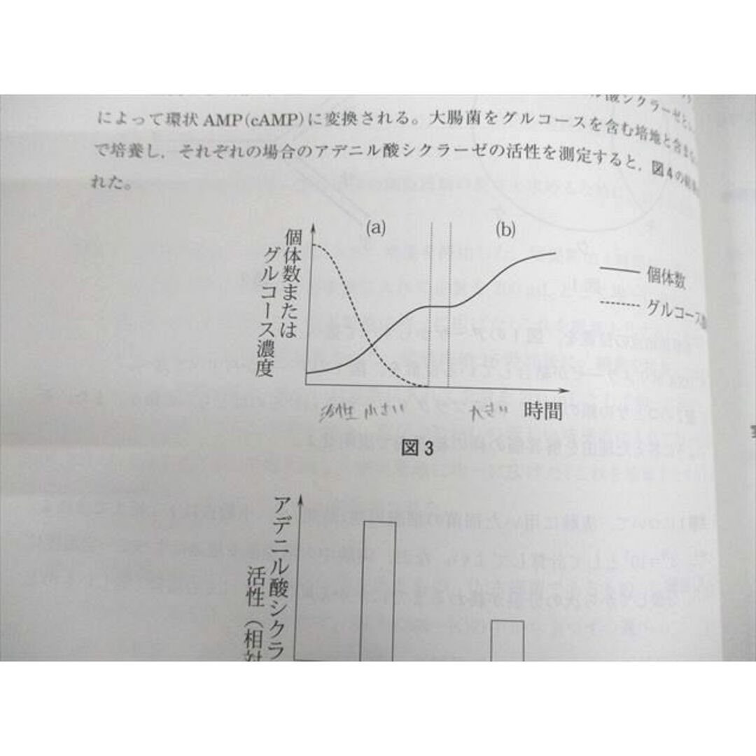 VB10-052 河合塾 京都大学 京大生物 テキスト 2021 冬期 西尾健 07s0D 3