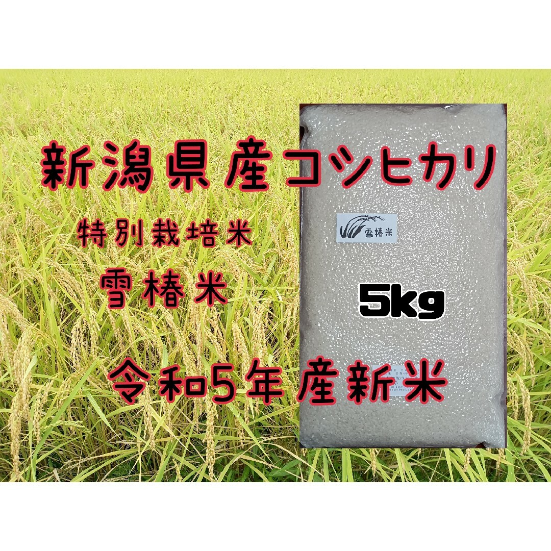 KEN1's　by　特別栽培米新潟県産コシヒカリ5kの通販　shop｜ラクマ