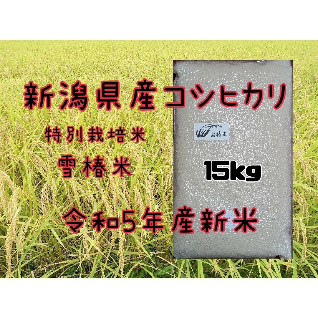 特別栽培米新潟県産コシヒカリ15k - 米/穀物 無農薬米新潟県産コシヒカリ15k