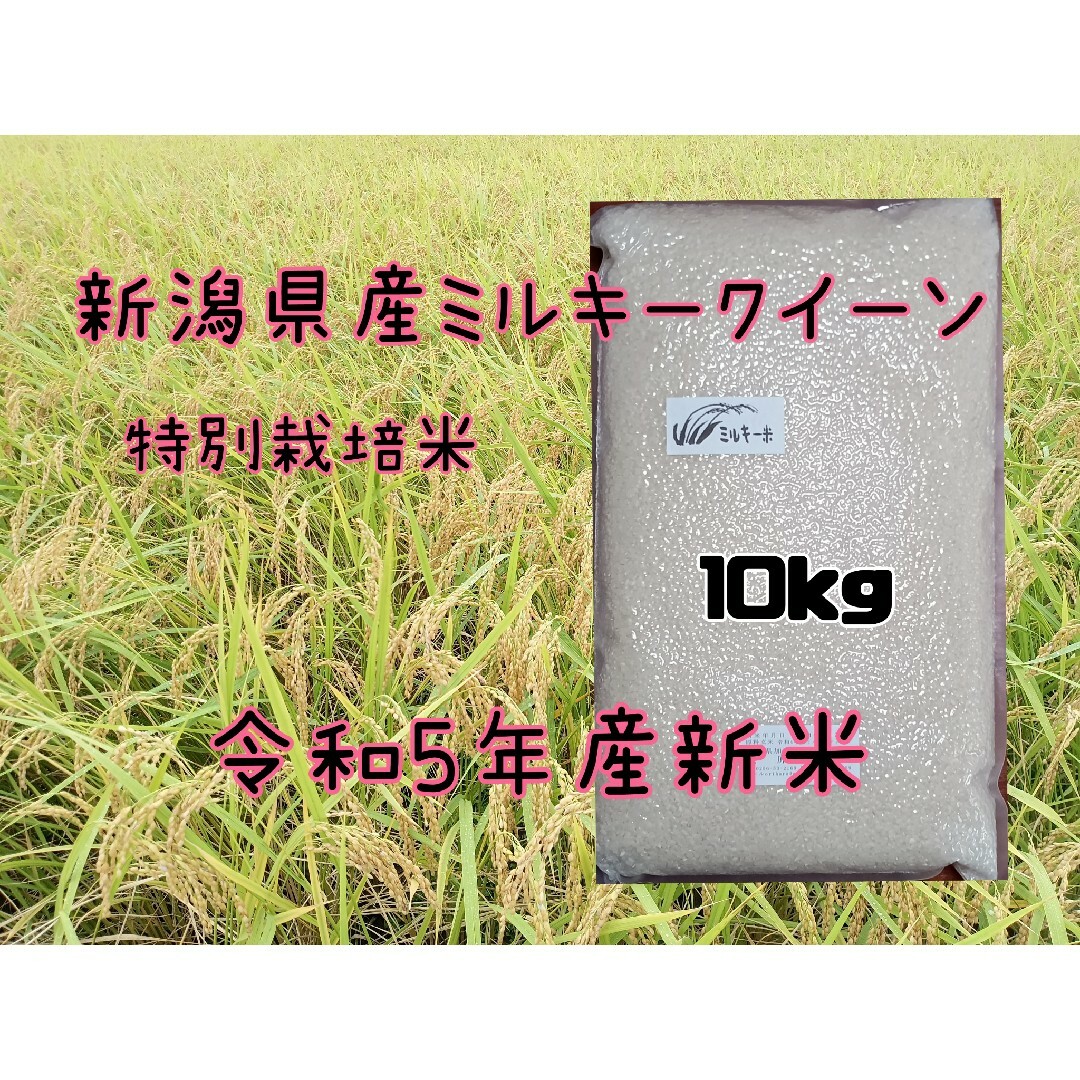 新潟県産ミルキークイーン10k食品