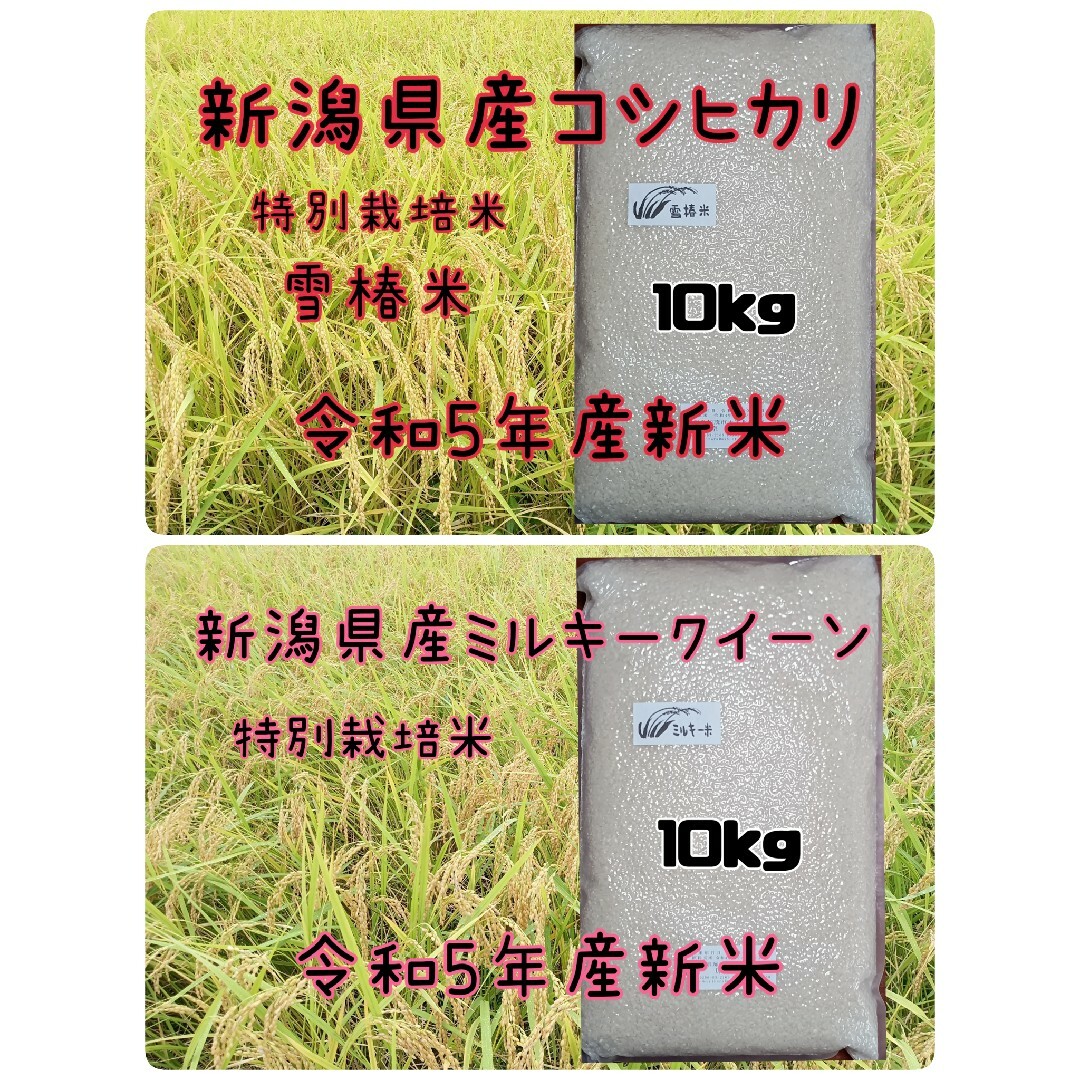 新潟県産コシヒカリ10kとミルキークイーン10k　食べ比べセット20k　!フリマ（旧）-