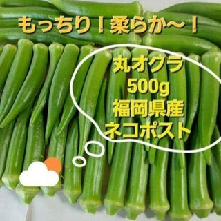 丸オクラ　500g以上　福岡県産(野菜)