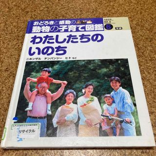 おどろきと感動の動物の子育て図鑑 ６(絵本/児童書)