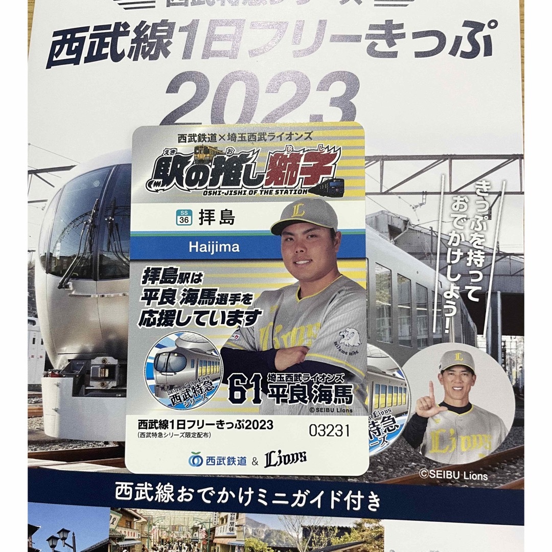 埼玉西武ライオンズ(サイタマセイブライオンズ)の西武線1日フリーきっぷ　平良 チケットの乗車券/交通券(鉄道乗車券)の商品写真