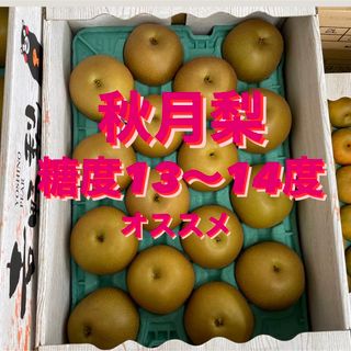 秋月梨　18〜20玉　箱込み5キロ　秀品　(フルーツ)