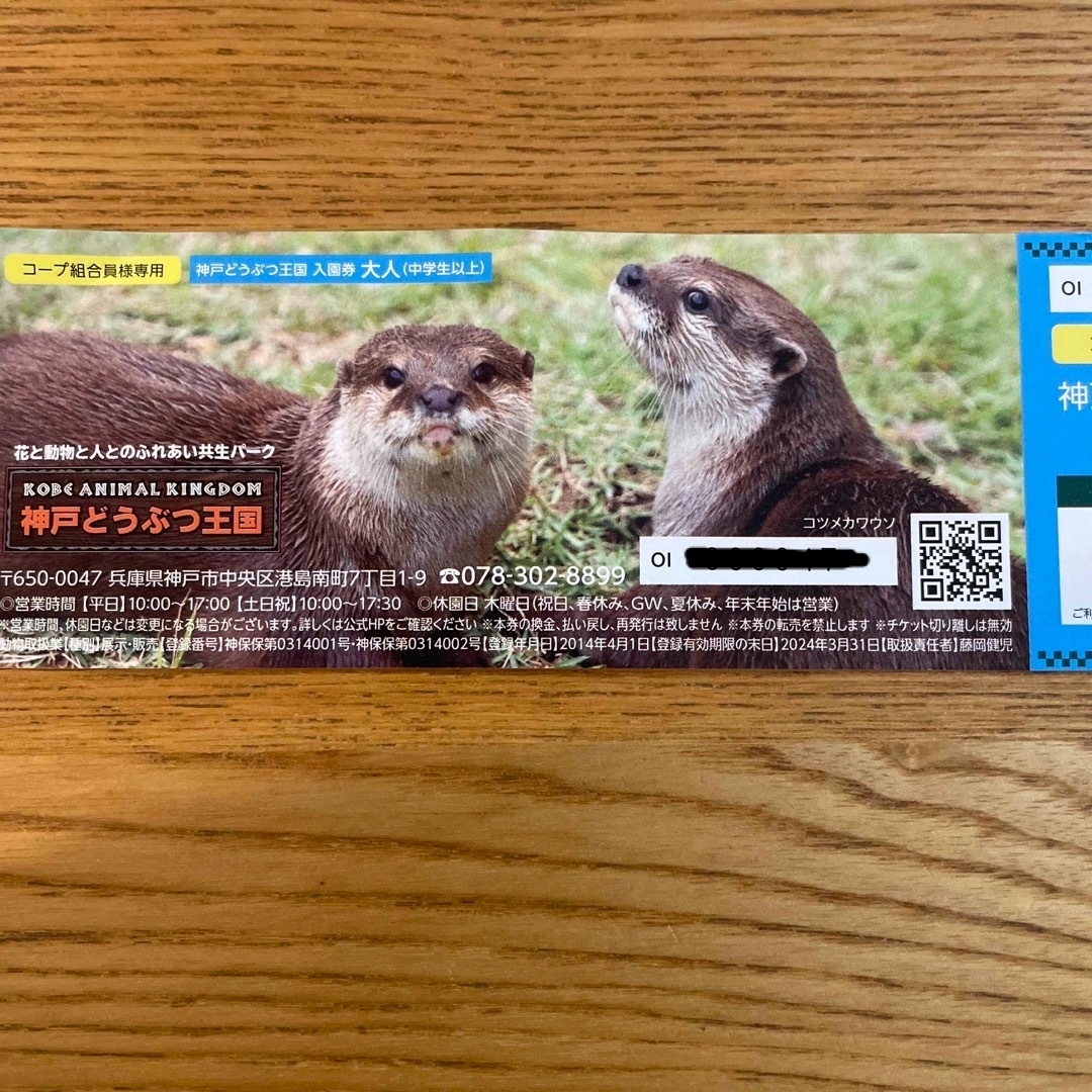 神戸どうぶつ王国　1枚 チケットの施設利用券(動物園)の商品写真