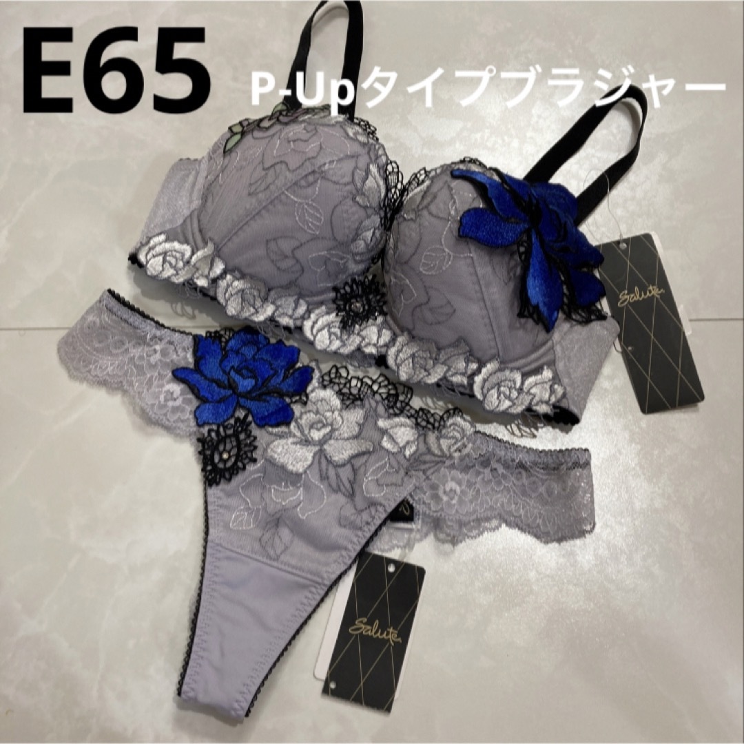 サルート 76G 空中庭園 P-Upタイプブラジャー E65 ソング M GY-