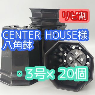 CENTER HOUSE様 八角鉢(その他)