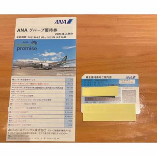 エーエヌエー(ゼンニッポンクウユ)(ANA(全日本空輸))のANA株主優待券＋グループ優待冊子(その他)