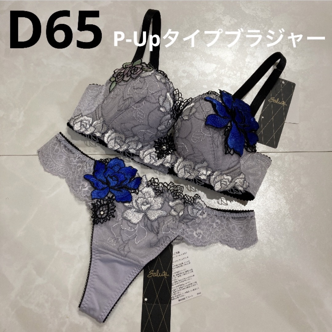 サルート 76G 空中庭園 P-Upタイプブラジャー E65 ソング M GY-