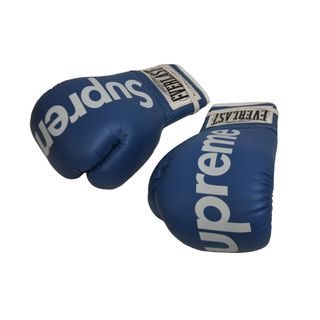 シュプリーム(Supreme)のSupreme シュプリーム EVERLAST エバーラスト 手袋 ボクシンググローブ 08AW レザー ブルー 美品 中古 54240(手袋)