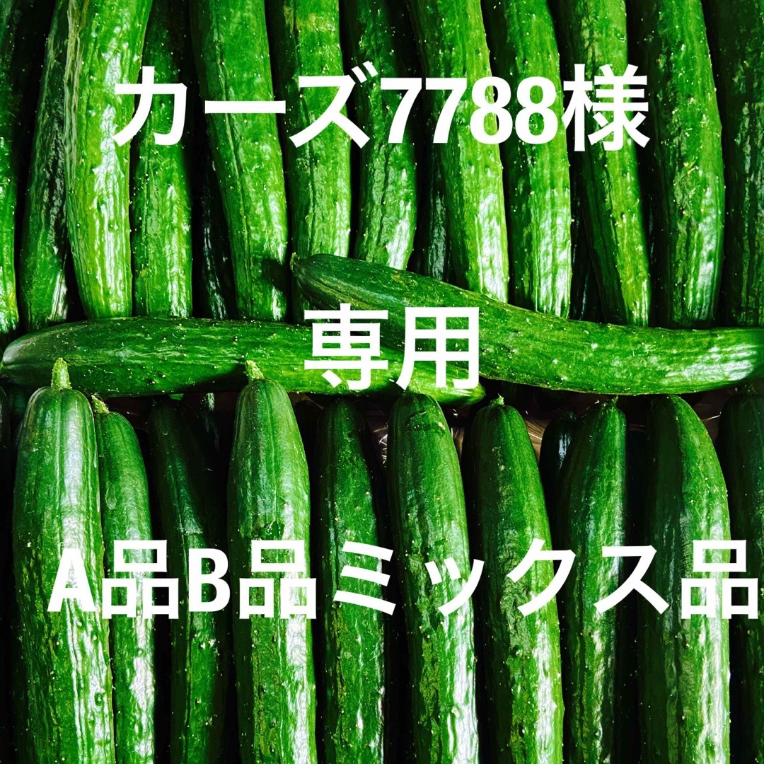 きゅうりA品B品5キロ 食品/飲料/酒の食品(野菜)の商品写真