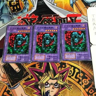 ユウギオウ(遊戯王)のバラに棲む悪霊 8 初期 ノーマル 3枚セット てら(シングルカード)