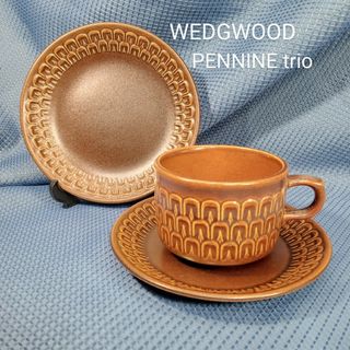 ウェッジウッド［Wedgwood］アンティーク英国製22cm超レア