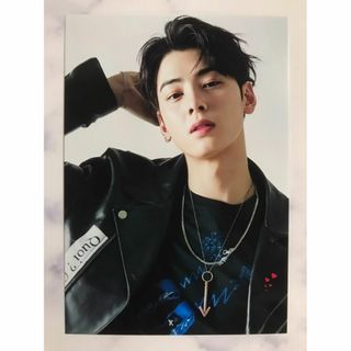 【AS310：チャ・ウヌ】／ASTRO（アストロ）写真L版(アイドルグッズ)