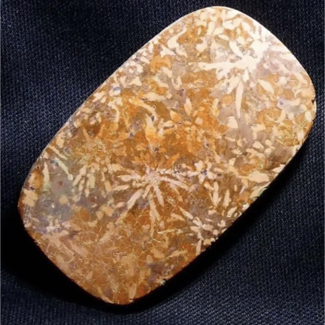 ⭐️SALE⭐️ コーラルフォッシルアゲート 天然石 ハンドメイド 4554 ハンドメイドの素材/材料(各種パーツ)の商品写真