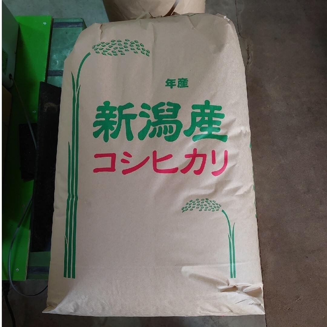 新米✨新潟コシヒカリ玄米30kg 食品/飲料/酒の食品(米/穀物)の商品写真