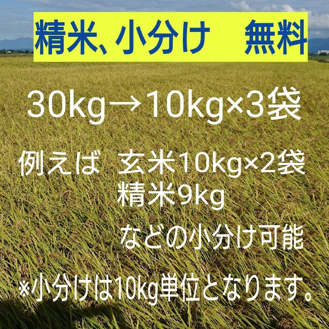 新米✨新潟コシヒカリ玄米30kg 食品/飲料/酒の食品(米/穀物)の商品写真