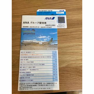 エーエヌエー(ゼンニッポンクウユ)(ANA(全日本空輸))の★みーみー様専用★ANA 株主優待番号ご案内書(その他)