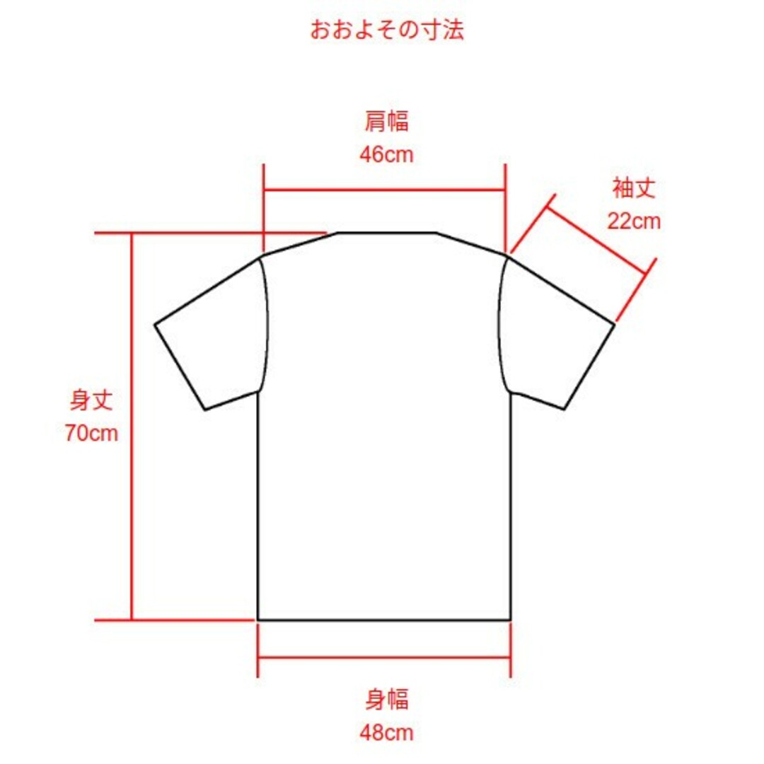 Tシャツ ストライプ 半袖 レディースのトップス(Tシャツ(半袖/袖なし))の商品写真