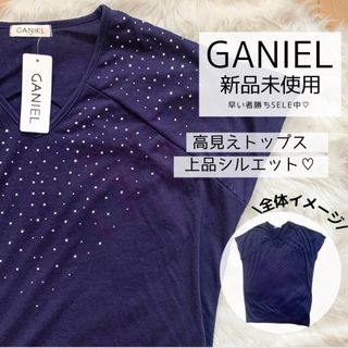 GANIEL 新品未使用　美品　ストーン　トップス　半袖　ビジュー(カットソー(半袖/袖なし))