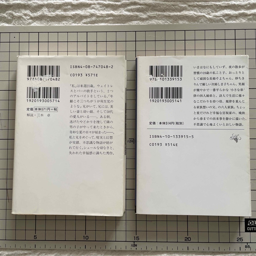 集英社(シュウエイシャ)のなつのひかり　流しのしたの骨 エンタメ/ホビーの本(文学/小説)の商品写真