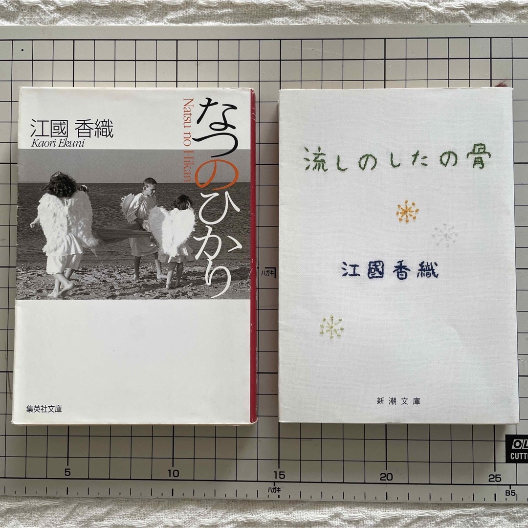 集英社(シュウエイシャ)のなつのひかり　流しのしたの骨 エンタメ/ホビーの本(文学/小説)の商品写真