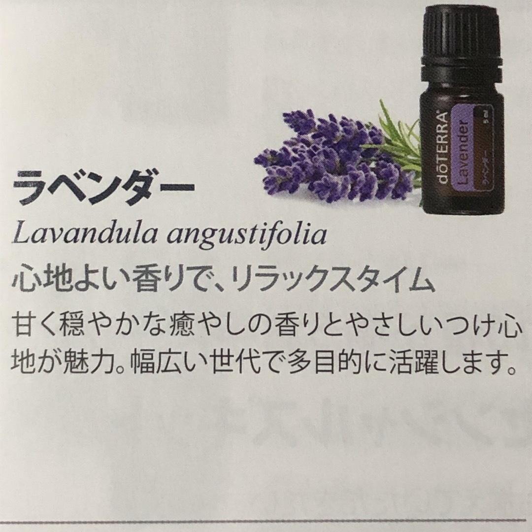 doTERRA - 正規品‼️まとめ売り❣️ドテラ ラベンダー レモン