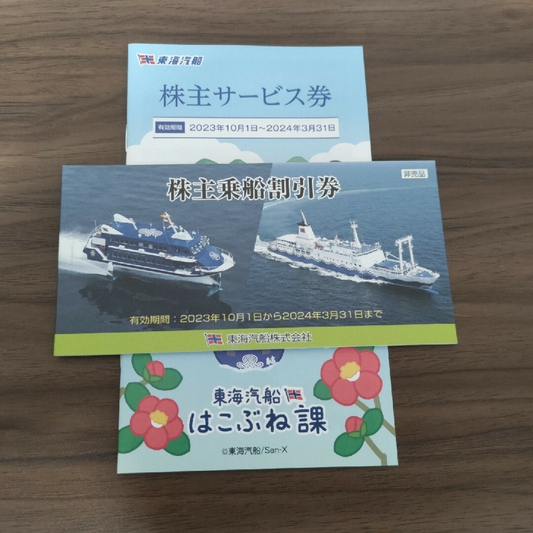 東海汽船 株主優待 株主乗船割引券 10枚・株主サービス券