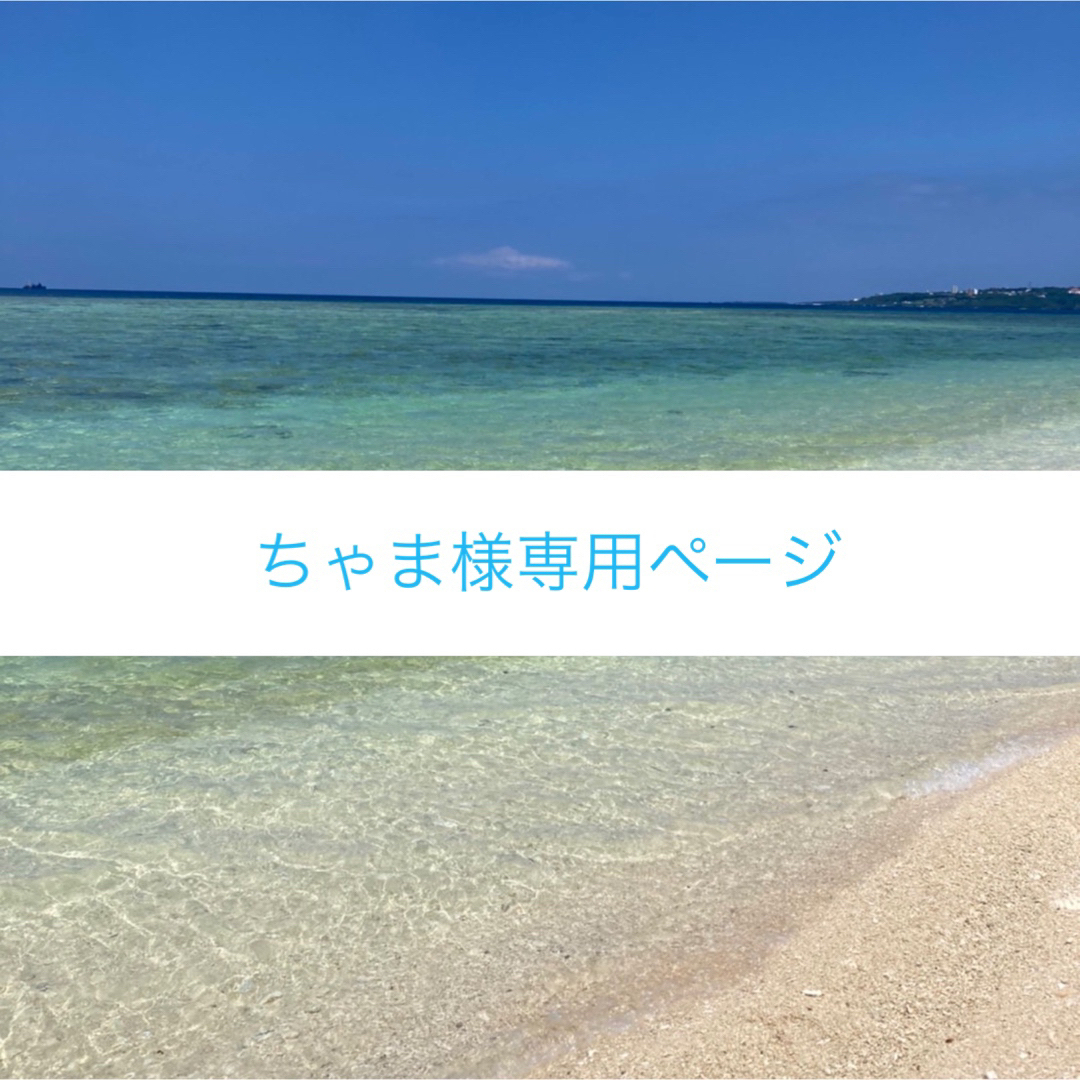 *ちゃま様専用ページ*たまごっちカバー*オーダーメイド* | フリマアプリ ラクマ