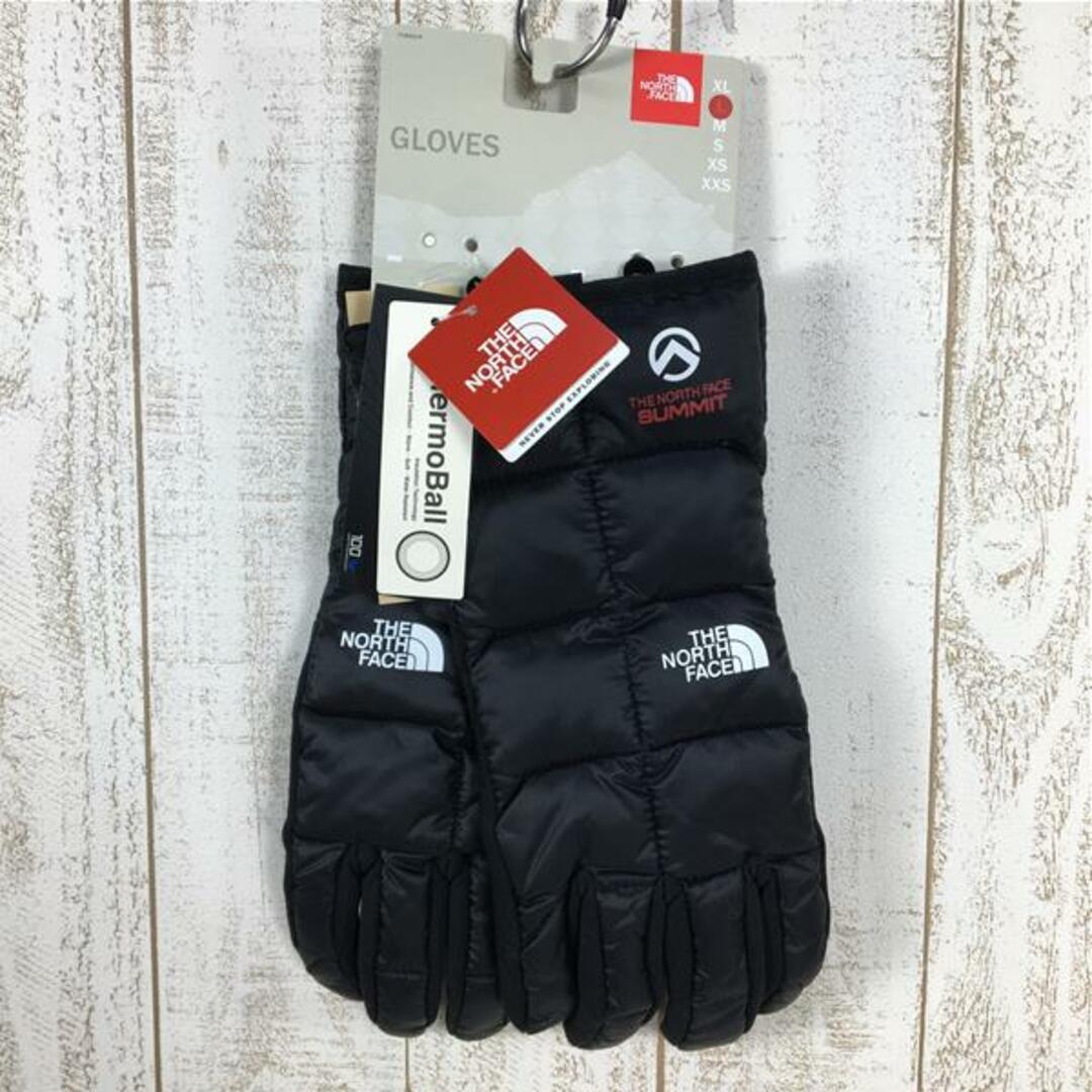 L  ノースフェイス アルパイン インサレーション グローブ Alpine Insulation Gloves サミットシリーズ サーモボール中綿 NORTH FACE NN61305 K Black ブラック系