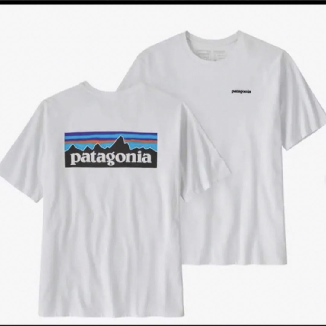 patagonia(パタゴニア)のパタゴニア Tシャツ P6 レスポンシビリティー  メンズのトップス(Tシャツ/カットソー(半袖/袖なし))の商品写真