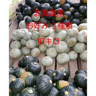 かぼちゃ10キロ(野菜)