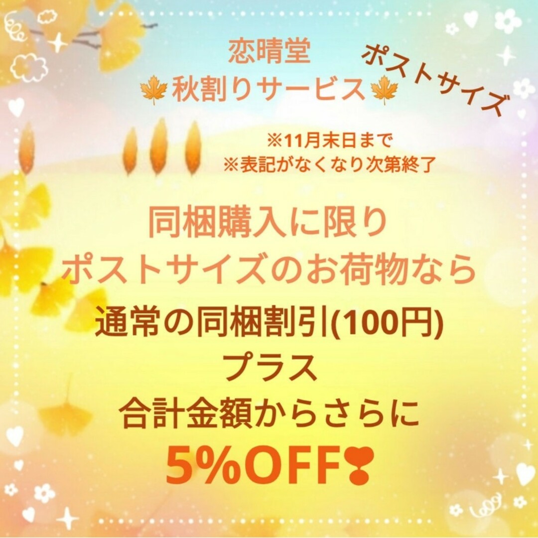 恋晴堂【秋割りサービス】通常の同梱割引+5%OFF※表記が無くなり次第