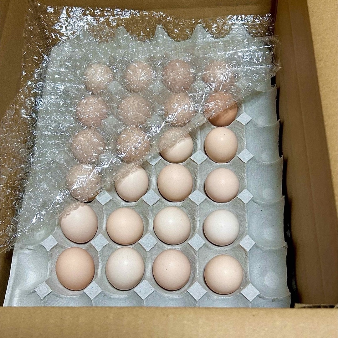 烏骨鶏の卵　平飼い卵　40個