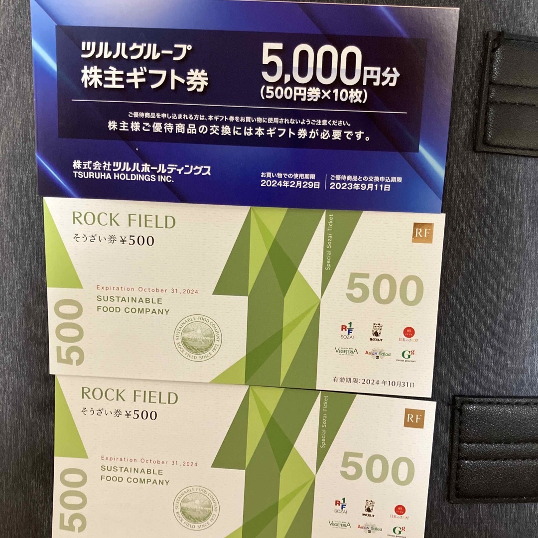 ツルハグループ 株主ギフト券 5000円分とロックフィールド1000優待券/割引券