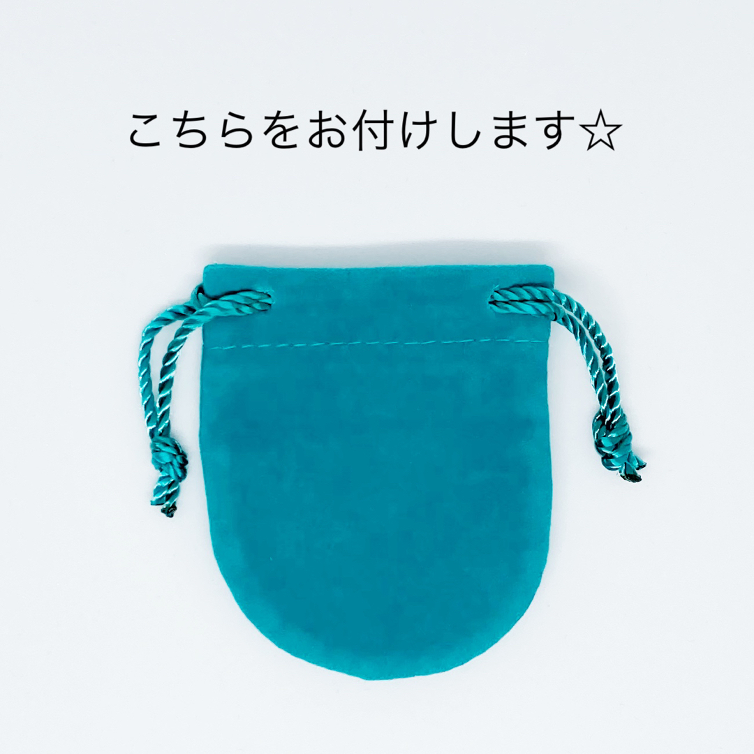 Tiffany & Co. - 磨き仕上げ済み 美品 ティファニー ネックレス ...