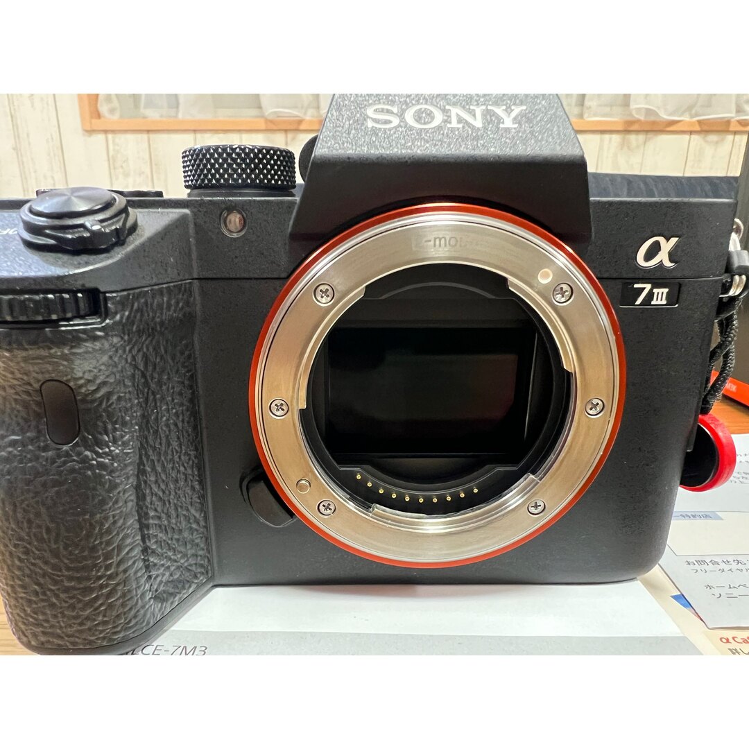 SONY SONY α7 III（ILCE-7M3）ボディと付属品 シャッター15225回の通販 by msr's shop｜ソニーならラクマ