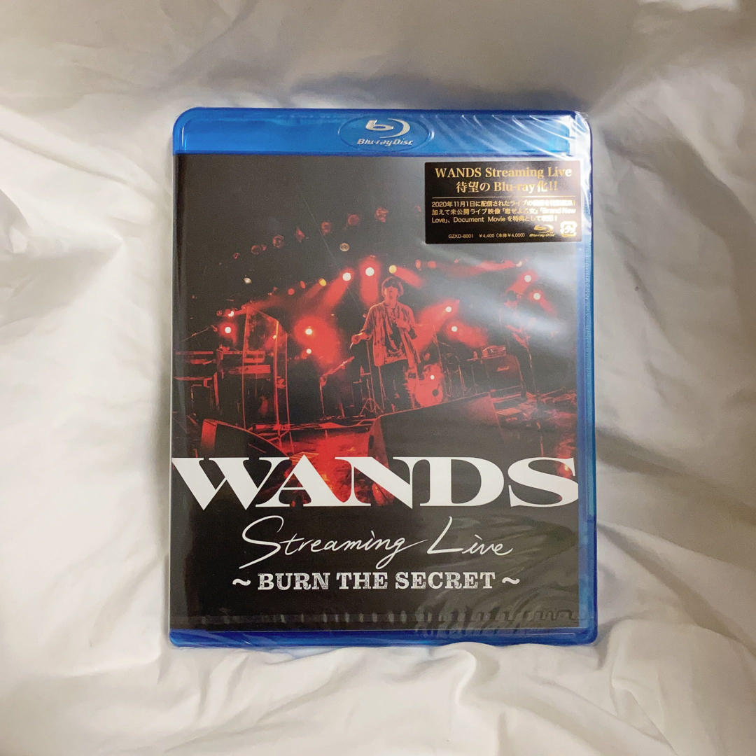 WANDS StreamingLIVE~BURN THE SECRET~ エンタメ/ホビーのDVD/ブルーレイ(ミュージック)の商品写真