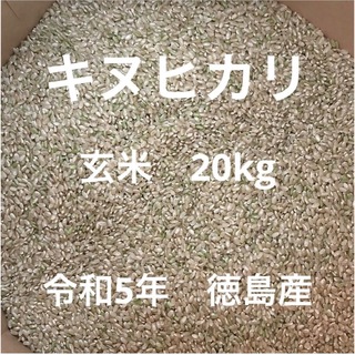 キヌヒカリ 玄米 20kg 令和5年 徳島産(米/穀物)