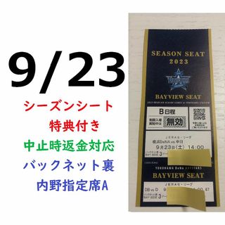 ヨコハマディーエヌエーベイスターズ(横浜DeNAベイスターズ)の【中止補償】9/23横浜DeNAベイスターズ×中日 横浜スタジアムネット裏(野球)