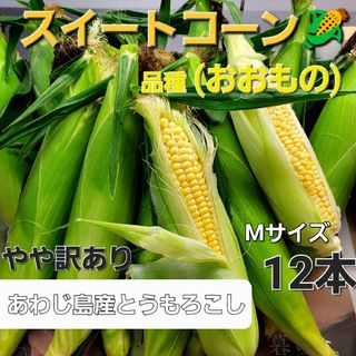 淡路島産とうもろこし🌽品種(おおもの)やや訳ありMサイズ12本(野菜)